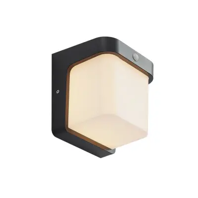 Lindby - Adenike LED Utomhus Vägglampa w/Sensor Dark Grey