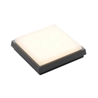 Lucande - Amra LED Square Utomhus Plafond 17,5 Dark Grey