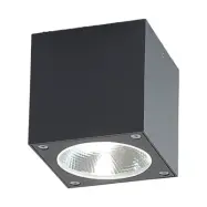 Lucande -Cordy LED Utomhus Takspot Graphite