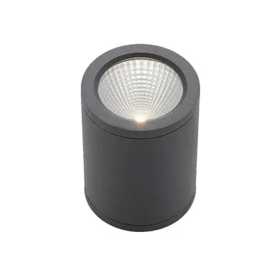 Lucande - Embla LED Utomhus Takspot Dark Grey