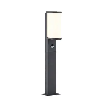 Lucande - Jokum LED Trädgårdslampa  H60 w/Sensor Graphite