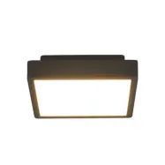 Lucande - Talea LED Utomhus Plafond Graphite