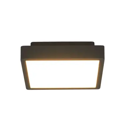 Lucande - Talea LED Utomhus Plafond Graphite