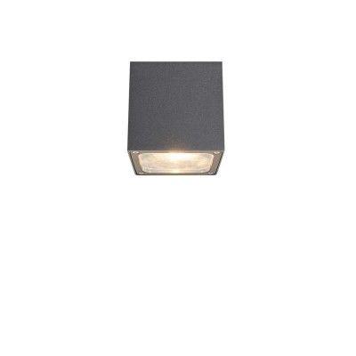 Lucande - Tanea LED Utomhus Plafond 12x12 Dark Grey