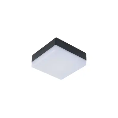 Lucande - Thilo LED Utomhus Plafond w/Sensor Grey