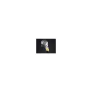 Lykta Lampa 30W Klar E27 240V