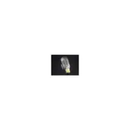 Lykta Lampa Tuboral 55W E27 240V