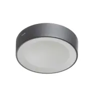 Philips Hue - Daylo Utomhus Vägglampa White/Color Amb. Black