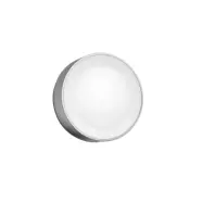 Philips Hue - Daylo Utomhus Vägglampa White/Color Amb. Inox