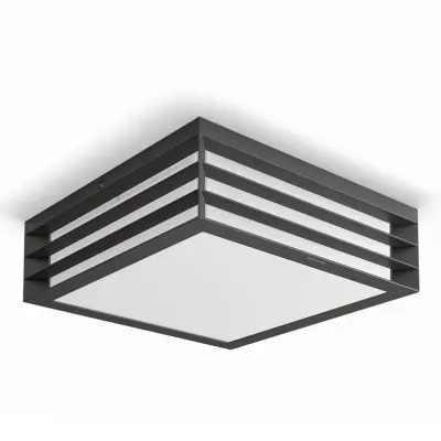 Philips - myGarden Moonshine taklampa antracit