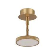 Asteria Spot - Plated Brass