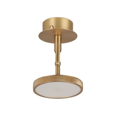 Asteria Spot - Plated Brass