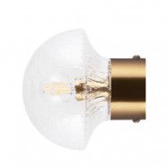 Globen Lighting - Fungo 16 Vägglampa/Plafond IP44 Klar/Borstad Mässing