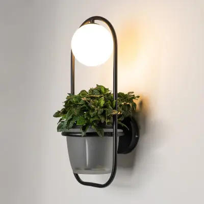 Orna Vägglampa Black/Opal - Lindby - Vardagsrum - Modern - Metall - Med en ljuskälla