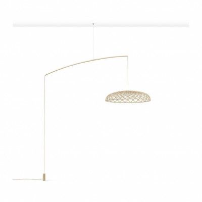 Skynest motion, Almond