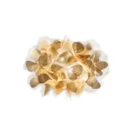 Slamp - Cliza Vägglampa Mama Non Mama Gold