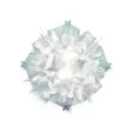 Slamp - Veli Plafond/Vägglampa Mini Prism