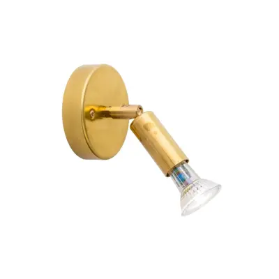 Star 1 vägglampa, råmässing (kabel med dimmer)