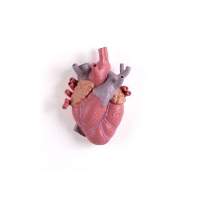 Seletti - Love In Bloom Color Porcelain Heart Vase